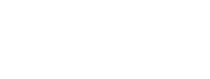 NetMasterⅡ