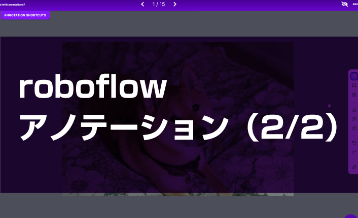 第3回 roboflow：アノテーション（2/2）