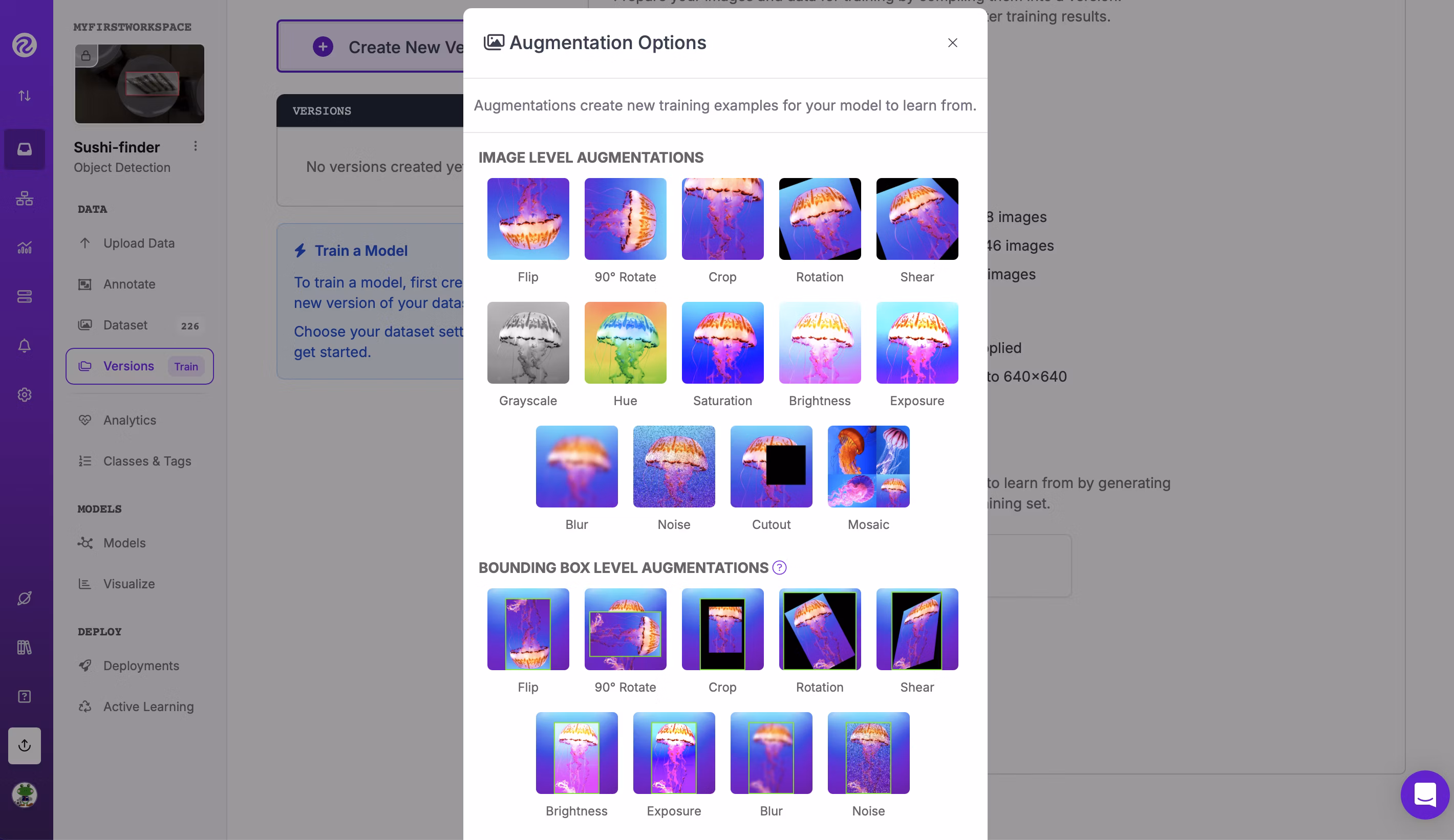 roboflow Add Augmentation Step